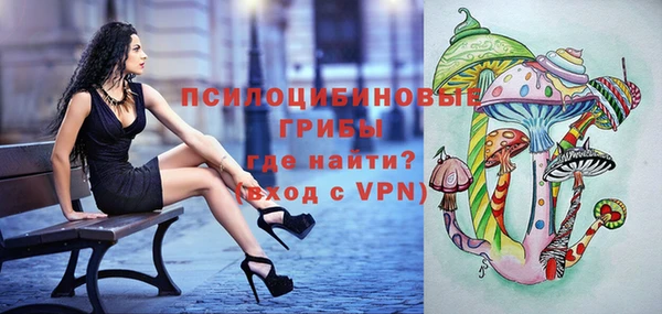 apvp Алзамай