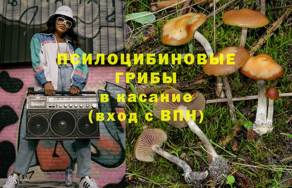 apvp Алзамай